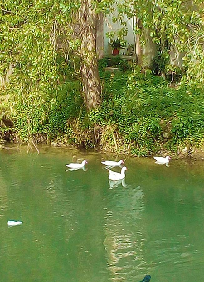 Piccola Suite Blu Padova Dış mekan fotoğraf